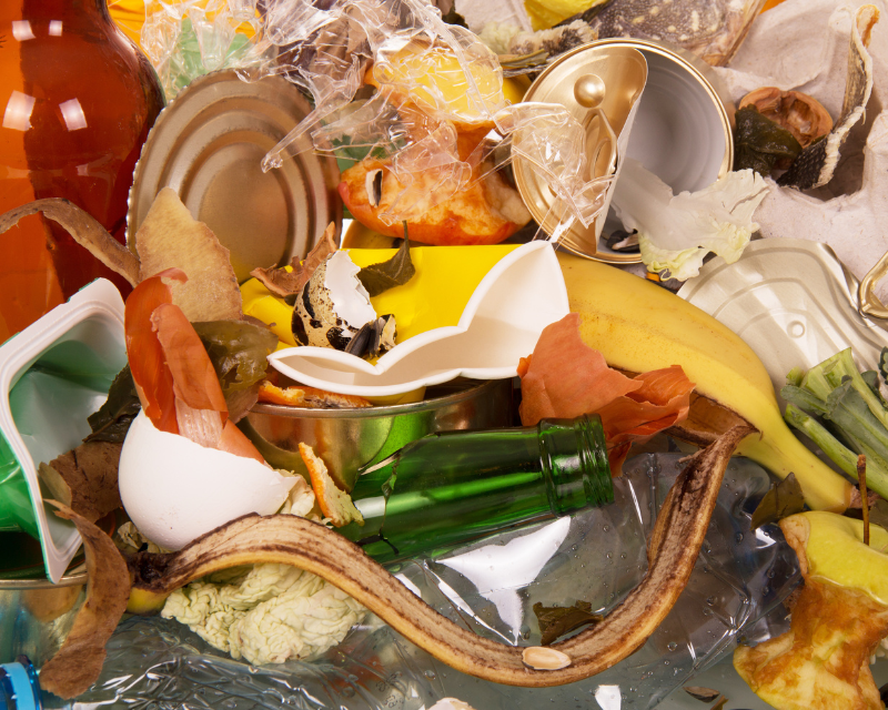 Image of household waste and scraps